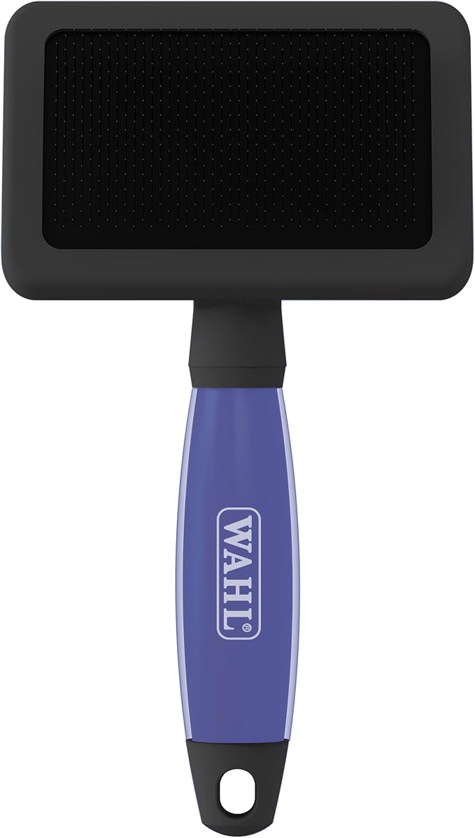Brush